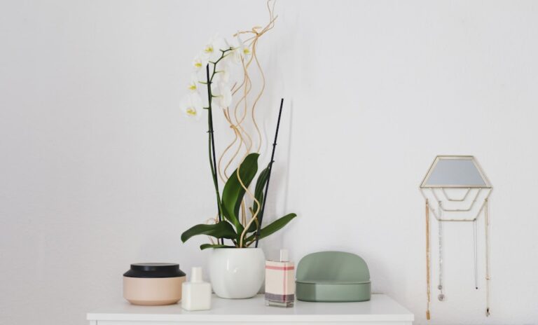 Step-by-Step Guide to Revamping Your Home on a Budget